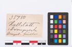 Etikett zu Bronzeperle (NHMW-PRAE-035750)